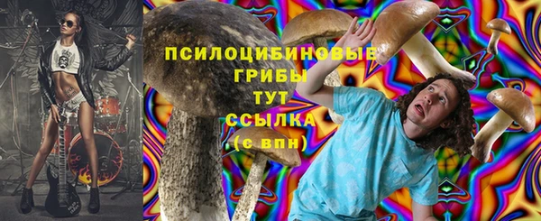 spice Корсаков