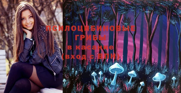 кристаллы Коряжма