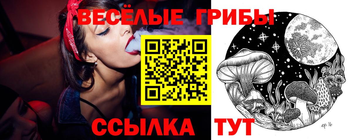 Галлюциногенные грибы MAGIC MUSHROOMS  Вход с VPN  Салават 