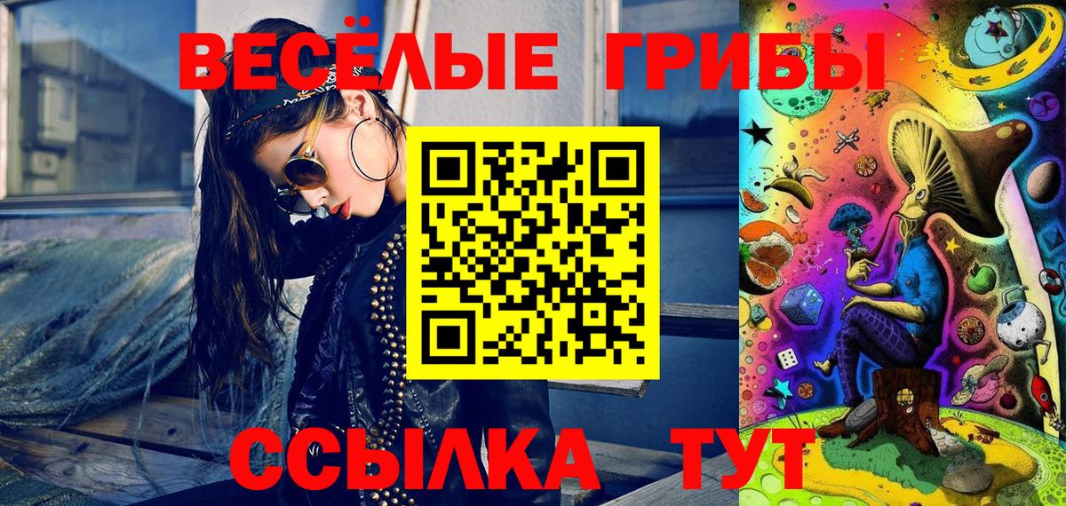 Псилоцибиновые грибы Psilocybe Салават