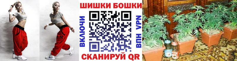 наркота  Салават  Шишки марихуана OG Kush 